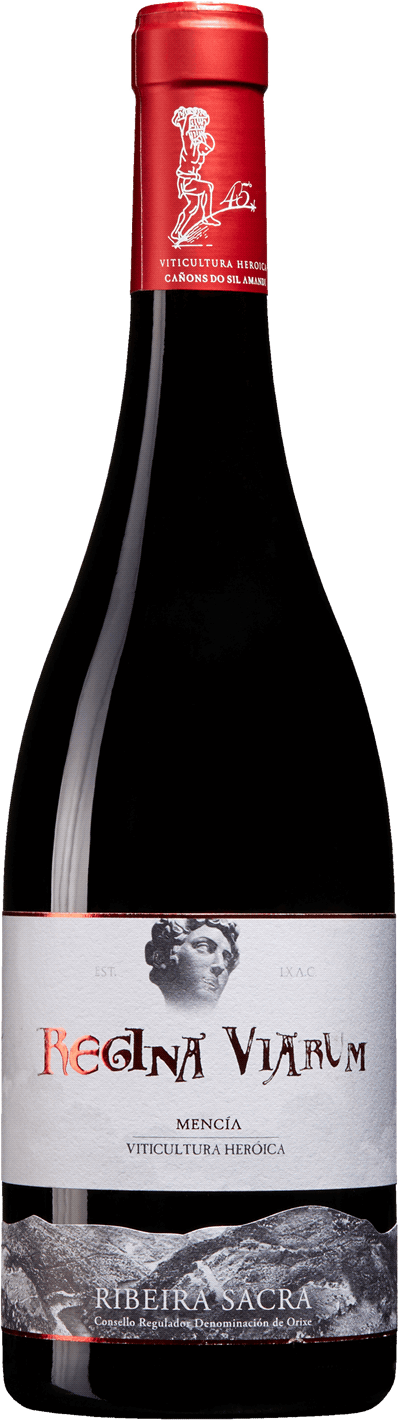 Regina Viarum Mencía 2016