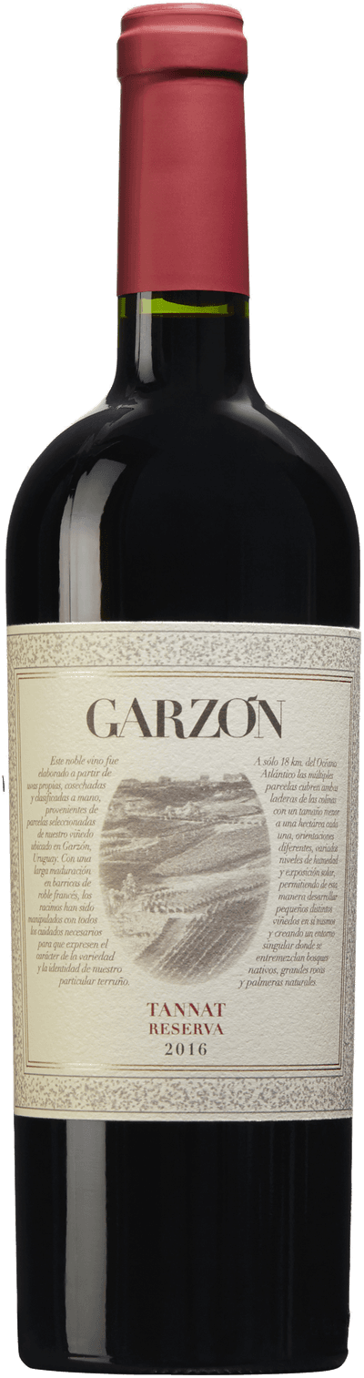 Garzón Reserva Tannat 2023