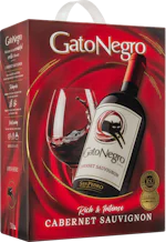 Gato Negro