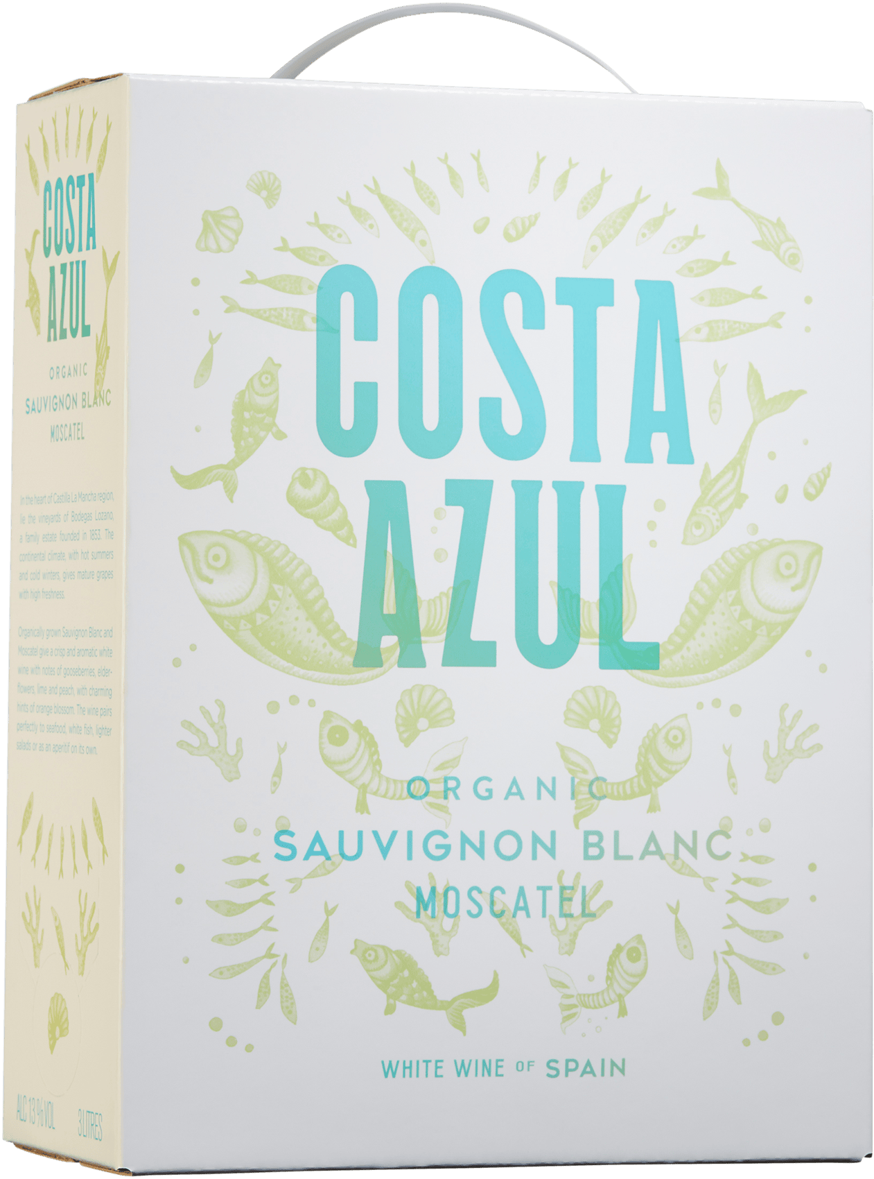 Costa Azul  2022