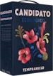 Candidato Ecologico
