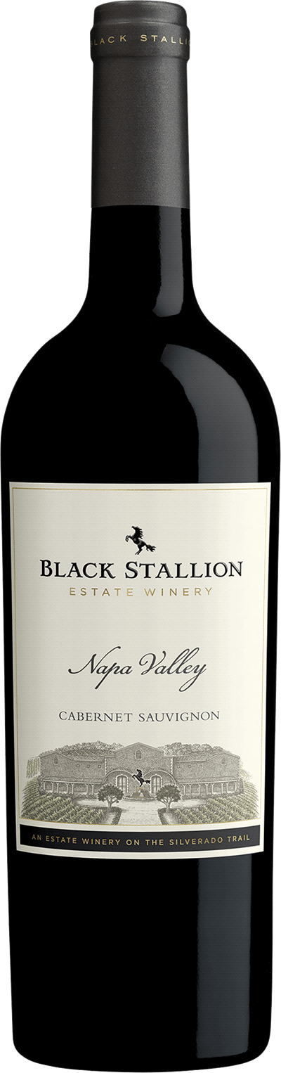 Black Stallion