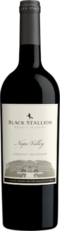 Black Stallion