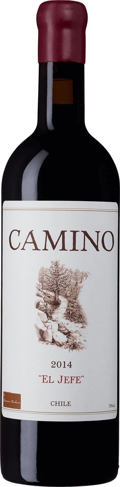 Camino El Jefe 2014