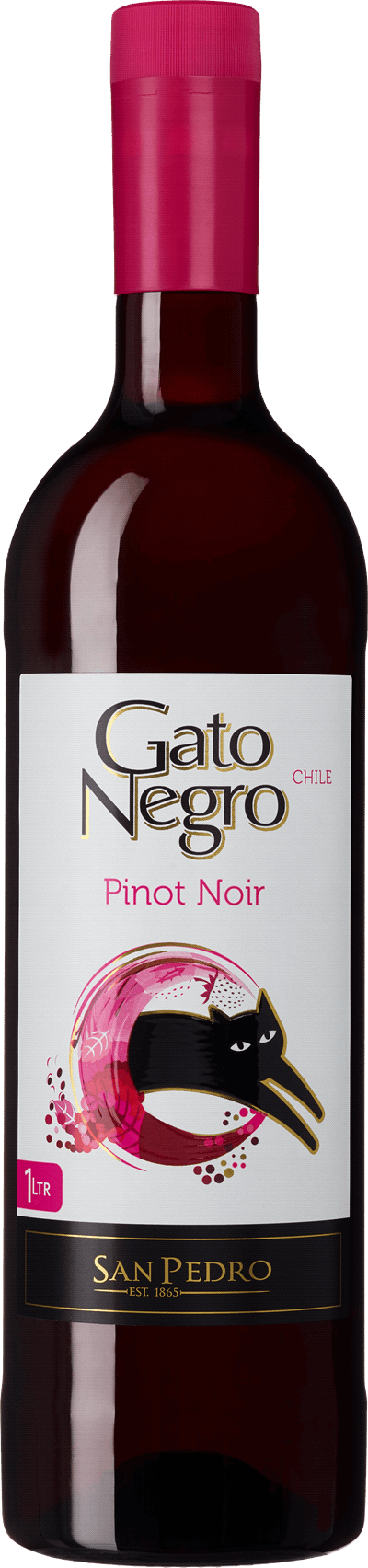 Gato Negro