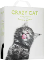Crazy Cat