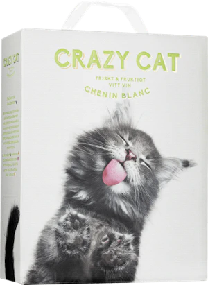 Crazy Cat