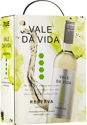 Vale da Vida