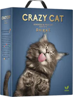 Crazy Cat