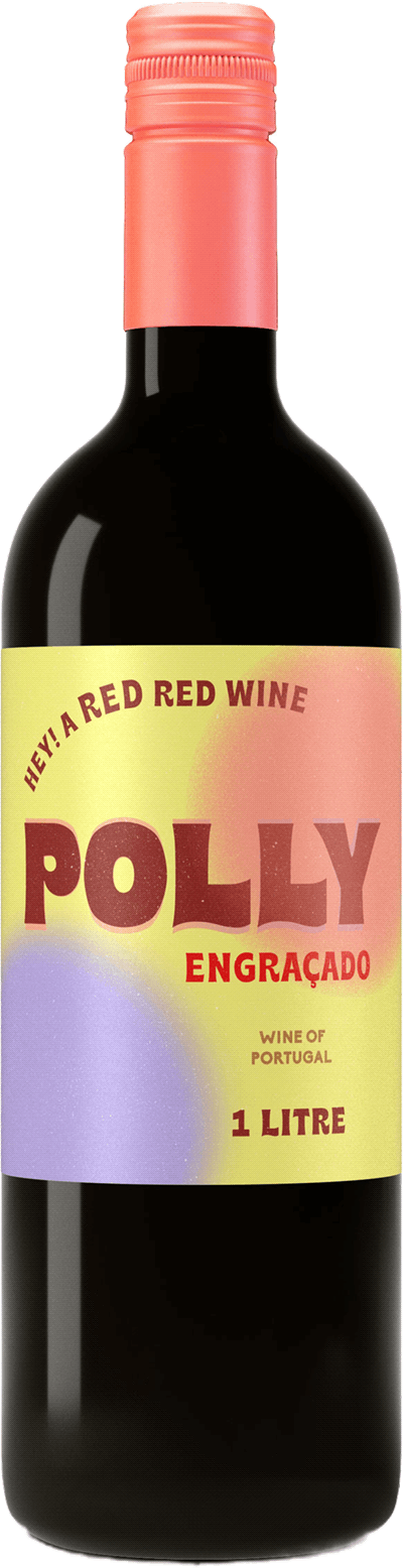Polly Engraçado  2021