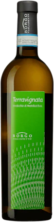 Terravignata Verdicchio di Matelica 2022