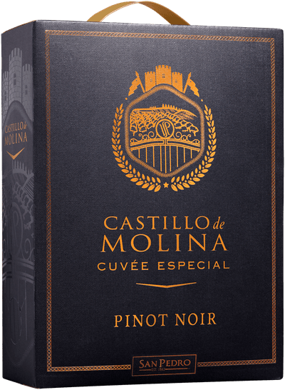 Castillo de Molina