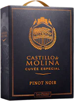 Castillo de Molina