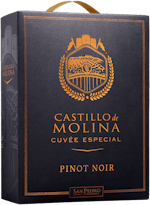 Castillo de Molina