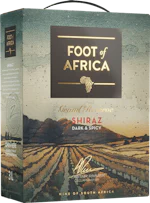Foot of Africa