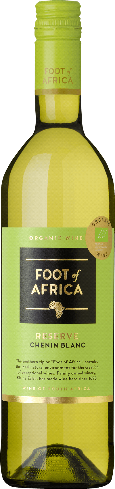 Foot of Africa