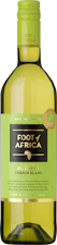 Foot of Africa