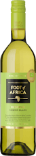 Foot of Africa