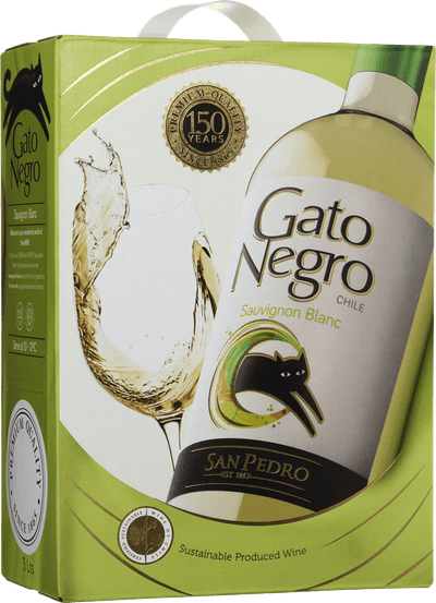 Gato Negro