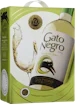 Gato Negro