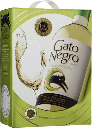 Gato Negro